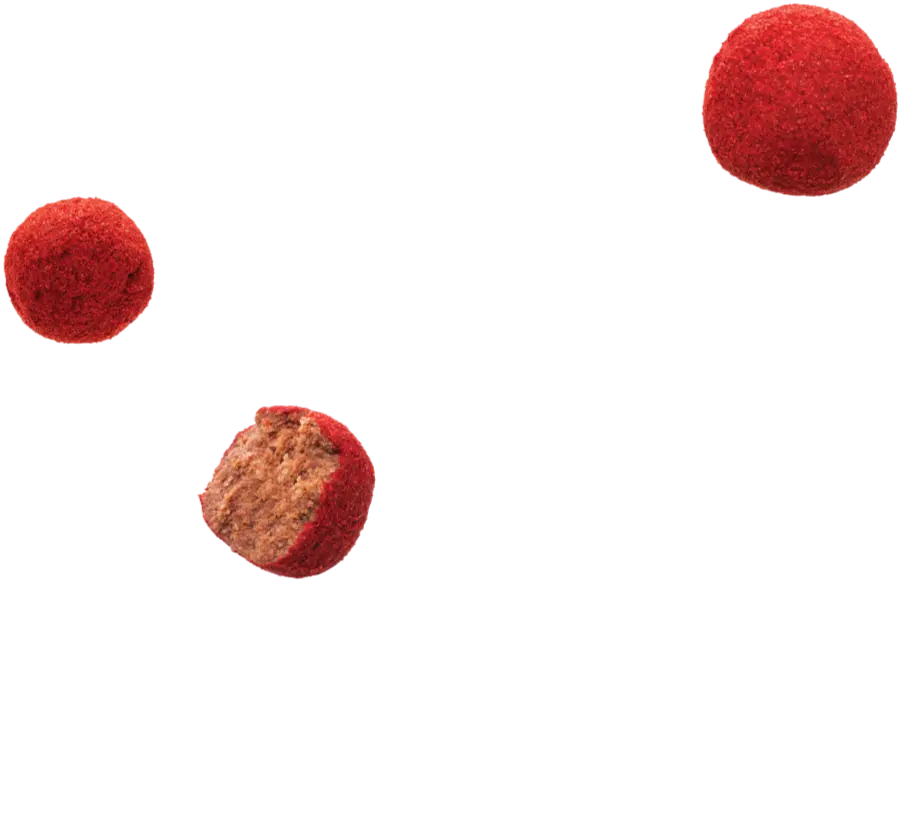 TAMARUGOS - BETAMEX®